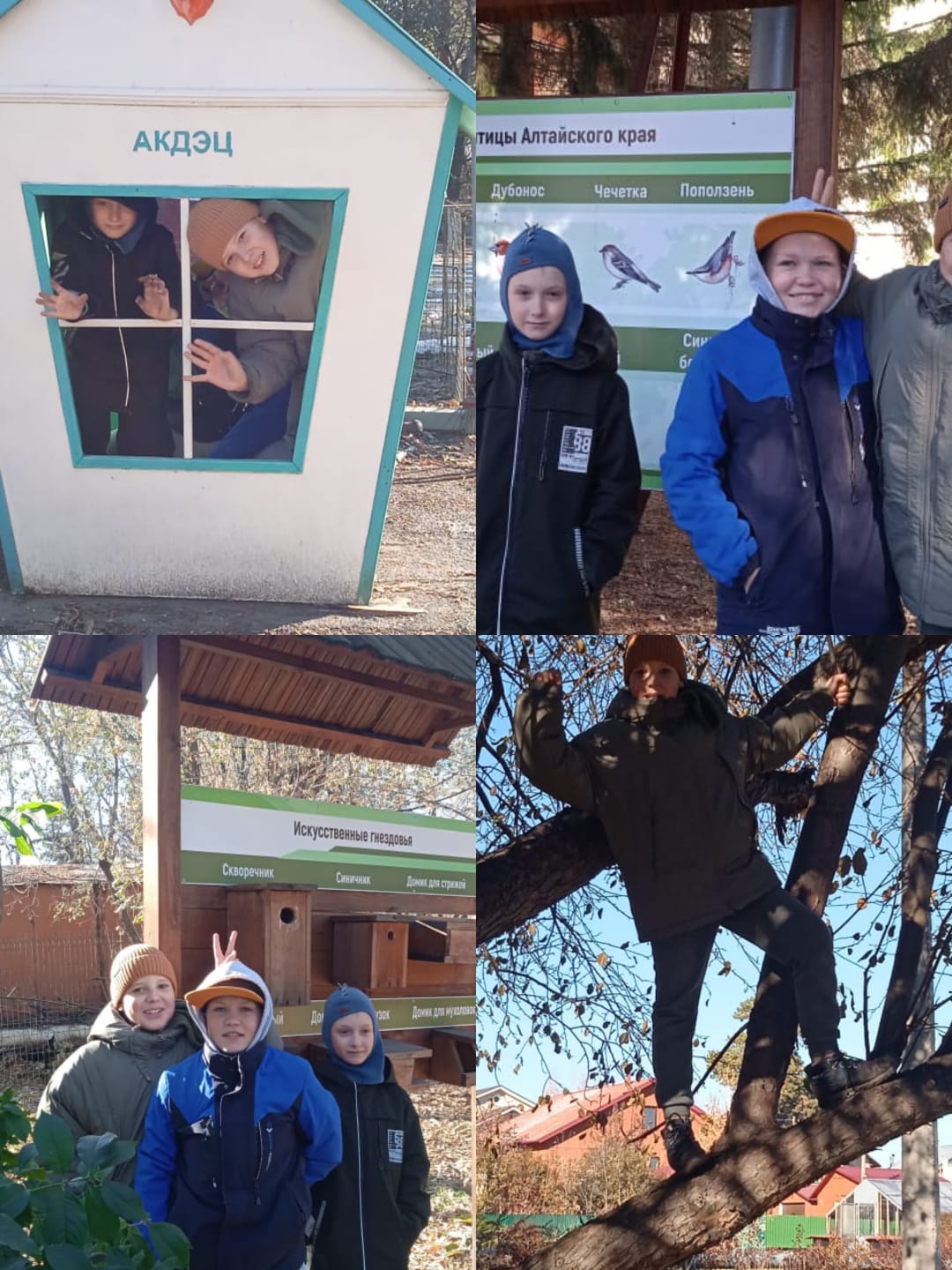 Каникулы школьного  туристического клуба &amp;quot;Эдельвейс&amp;quot;.